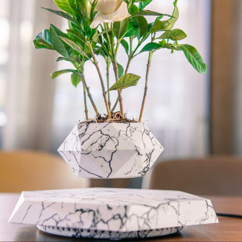 Levitating Flower Pot | For Home Office | Magnetic