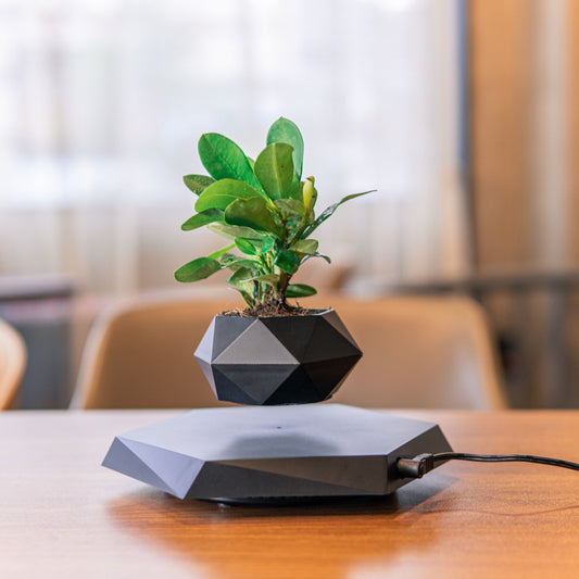 Levitating Flower Pot | For Home Office | Magnetic