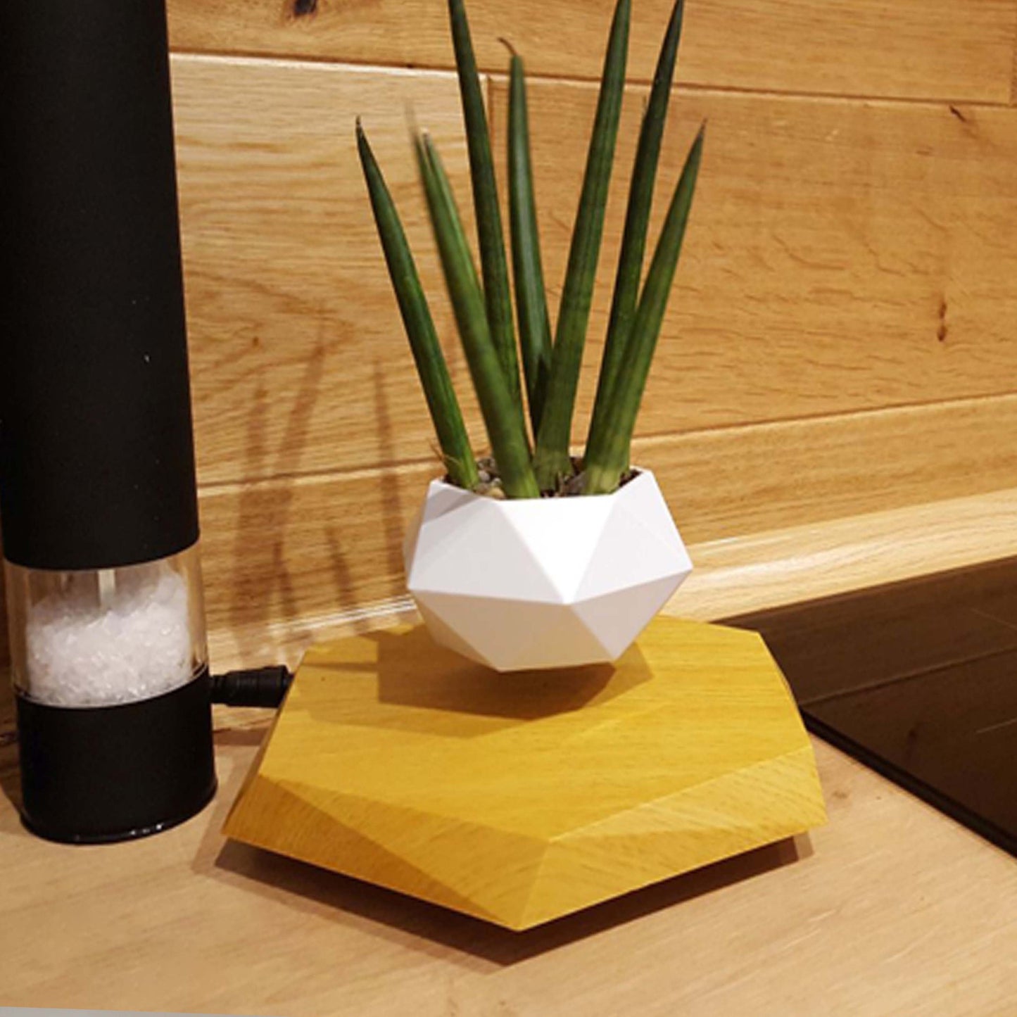Levitating Flower Pot | For Home Office | Magnetic