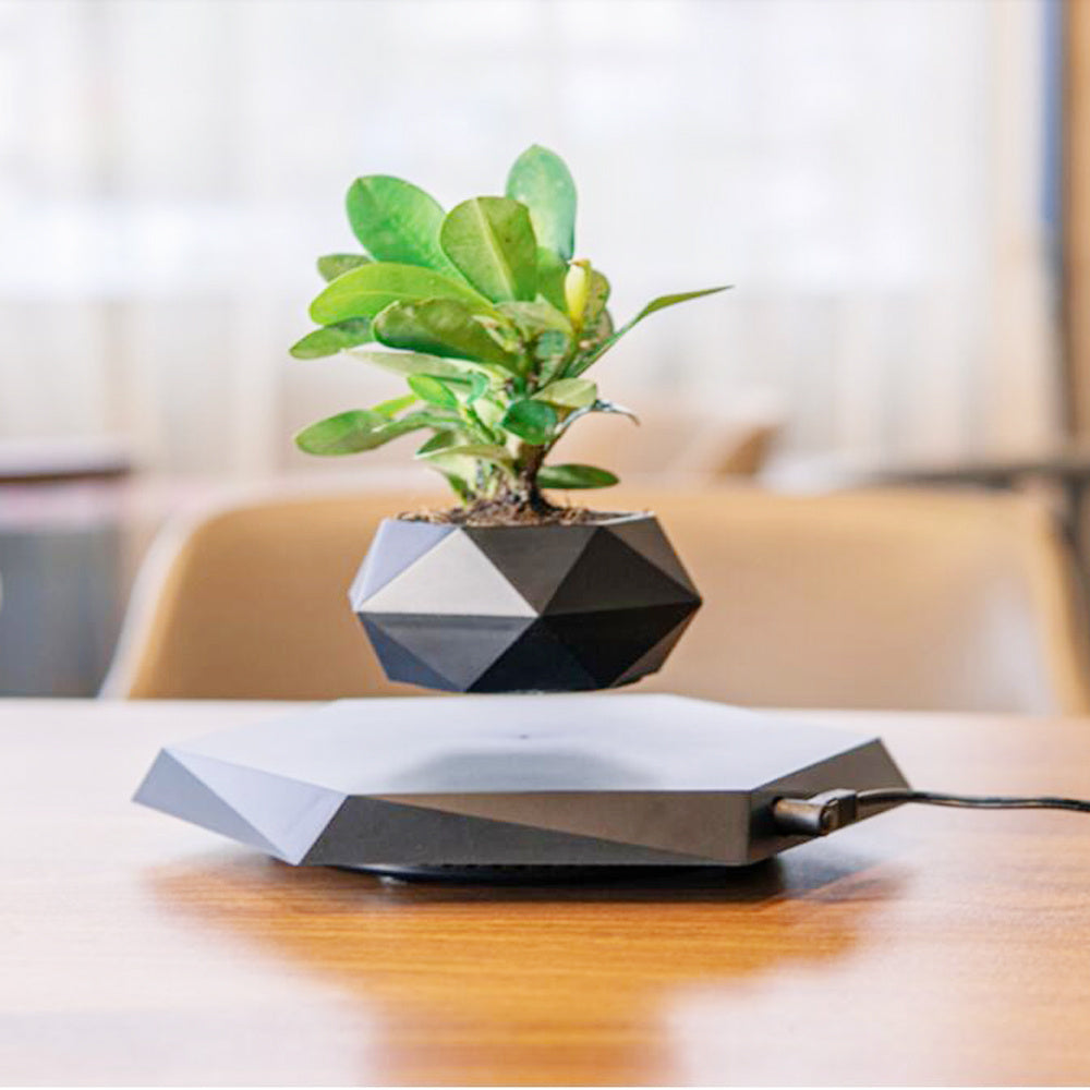 Levitating Flower Pot | For Home Office | Magnetic